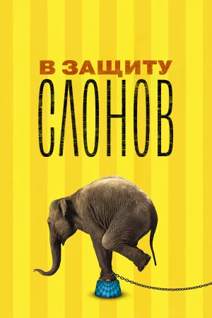В защиту слонов  онлайн